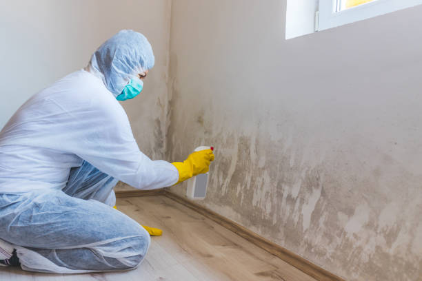 Hvac And Air Duct Mold Remediation inspection of HVAC system in Point Harbor